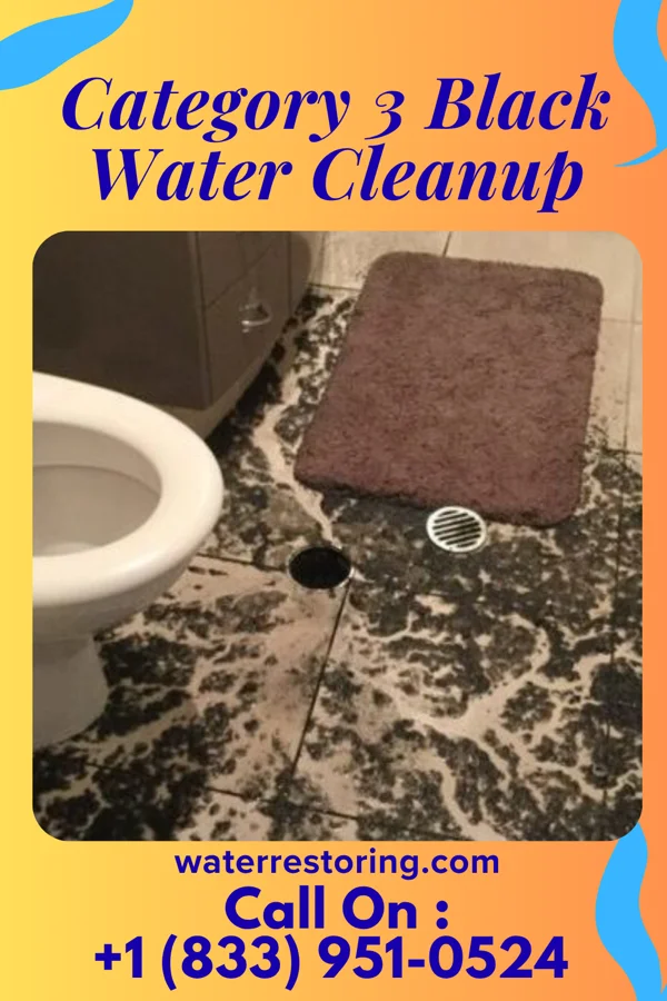 Category 3 Black Water Cleanup in Phillips, WI