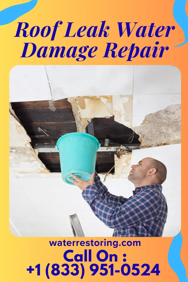 Roof Leak Water Damage Repair in Phillips, WI