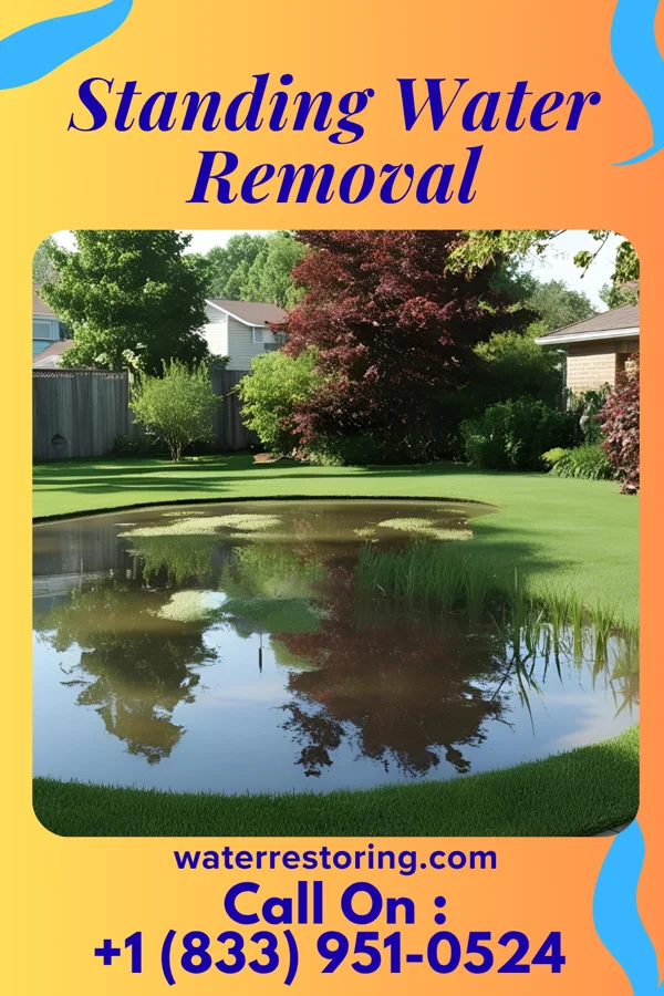 Standing Water Removal in Phillips, WI
